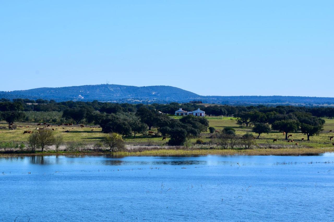 Herdade Da Burquilheira Family Retreat Alcáçovas Kültér fotó