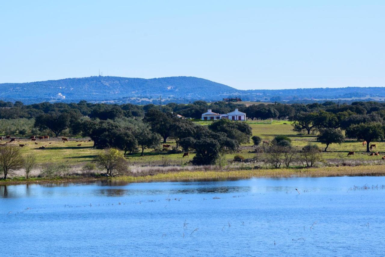 Herdade Da Burquilheira Family Retreat Alcáçovas Kültér fotó
