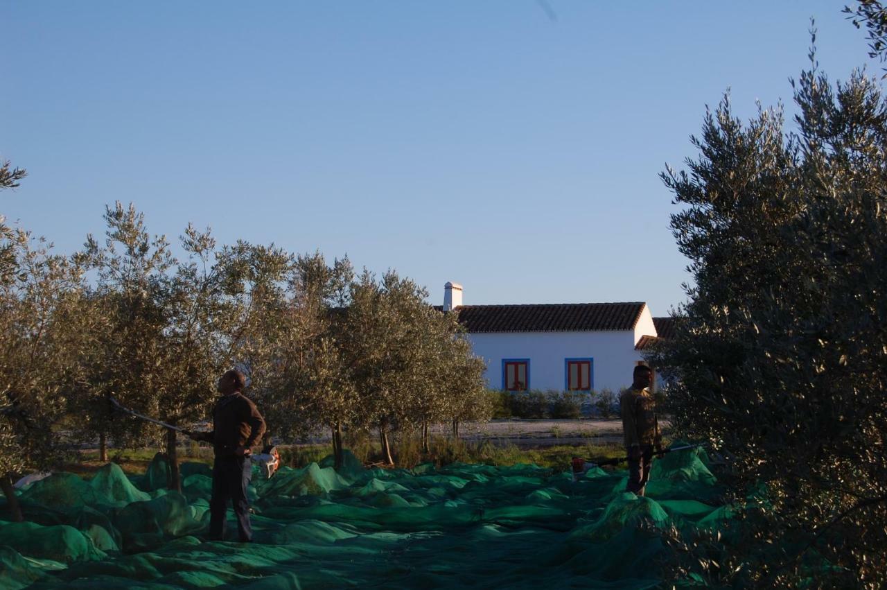 Herdade Da Burquilheira Family Retreat Alcáçovas Kültér fotó
